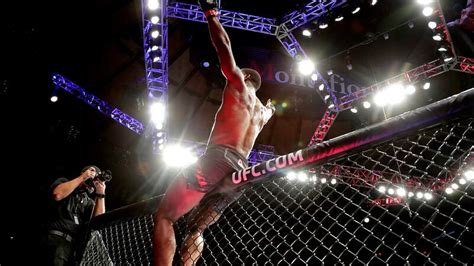 The Insider’s Guide to Navigating MMA Streams on Reddit.